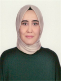 Arş. Gör. SEDANUR TÜRKMEN